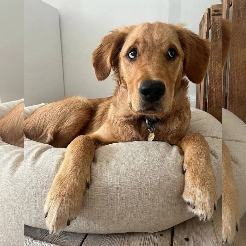 Cama PetClub™️ Lino Desmontable