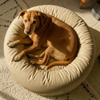 Cama PetClub™️ Super rellena Fresh Version