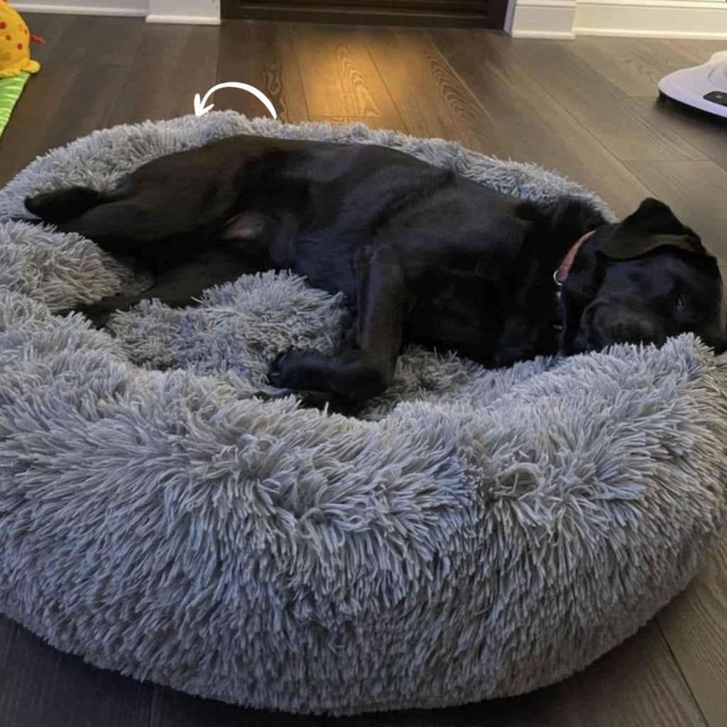 Pack Cama PetClub™️ + Funda GRATIS