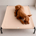 Cama Elevada
