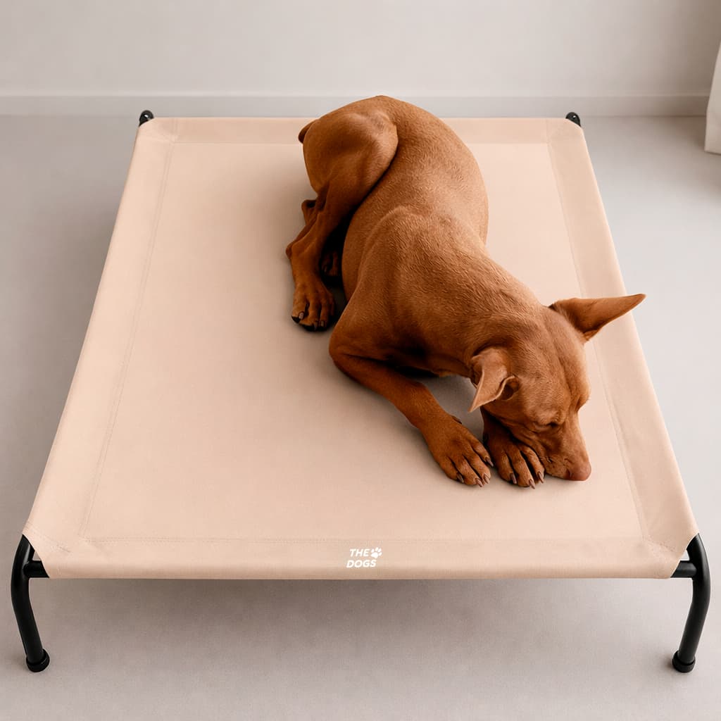 Cama Elevada