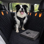 Kit auto limpio y perro seguro