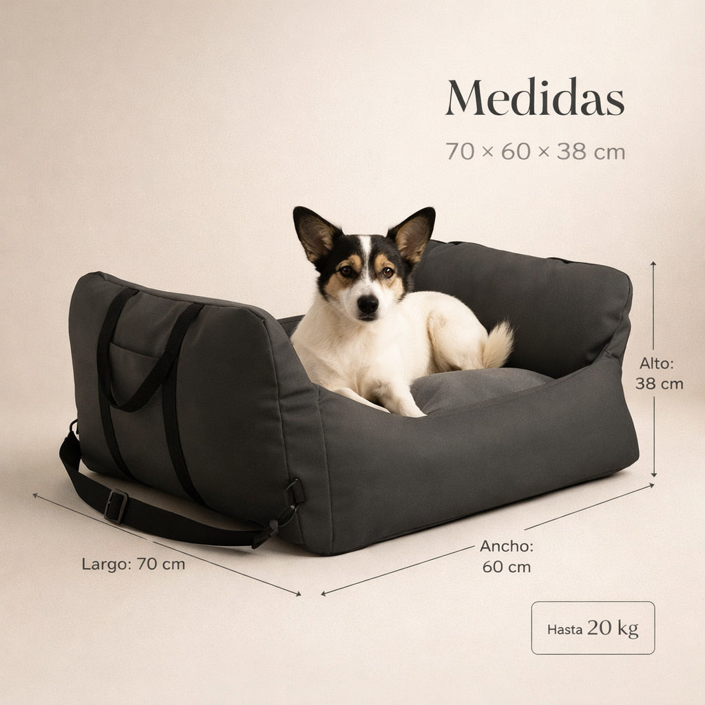Asiento Primera Clase  — Viajes seguros y cómodos