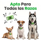 PawCore - 12 Meses de Protección Antipulgas y Garrapatas 100% Natural para Perros