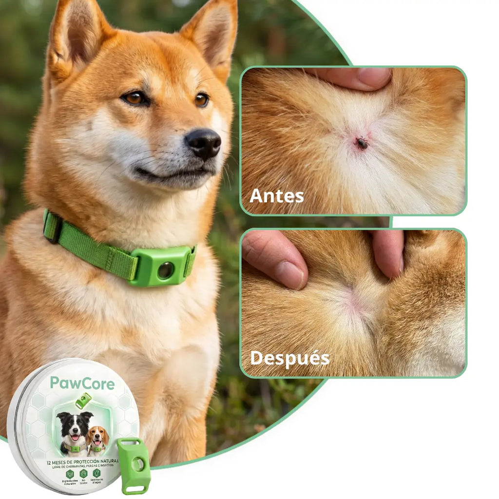 PawCore - 12 Meses de Protección Antipulgas y Garrapatas 100% Natural para Perros