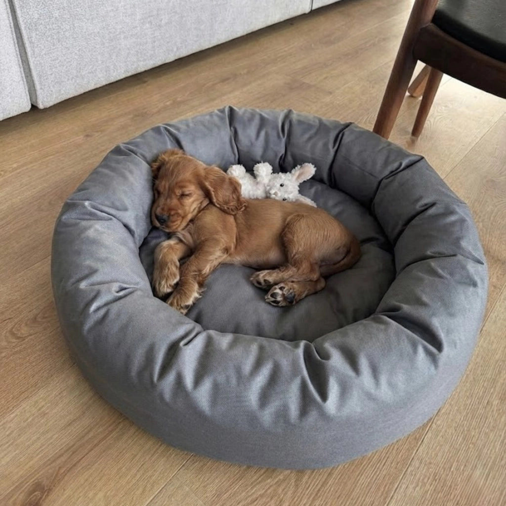 Cama PetClub™️ Super rellena Fresh Version