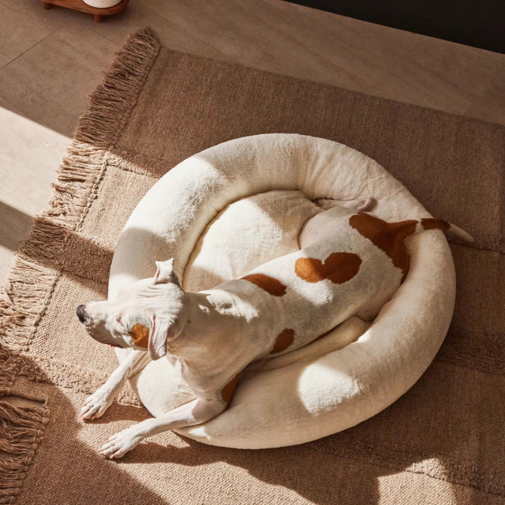 Cama PetClub™️ Soft Version Desmontable