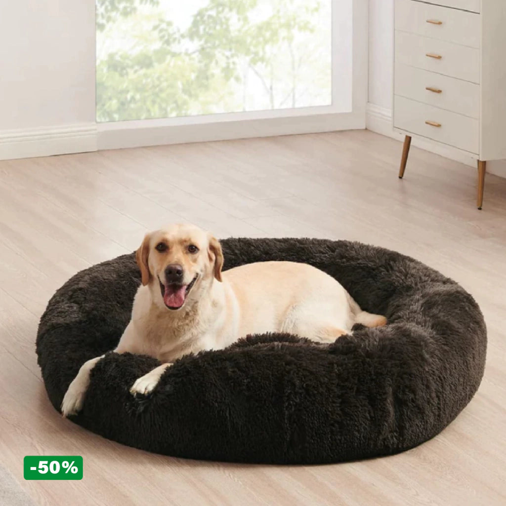 Cama PetClub™️ Super rellena