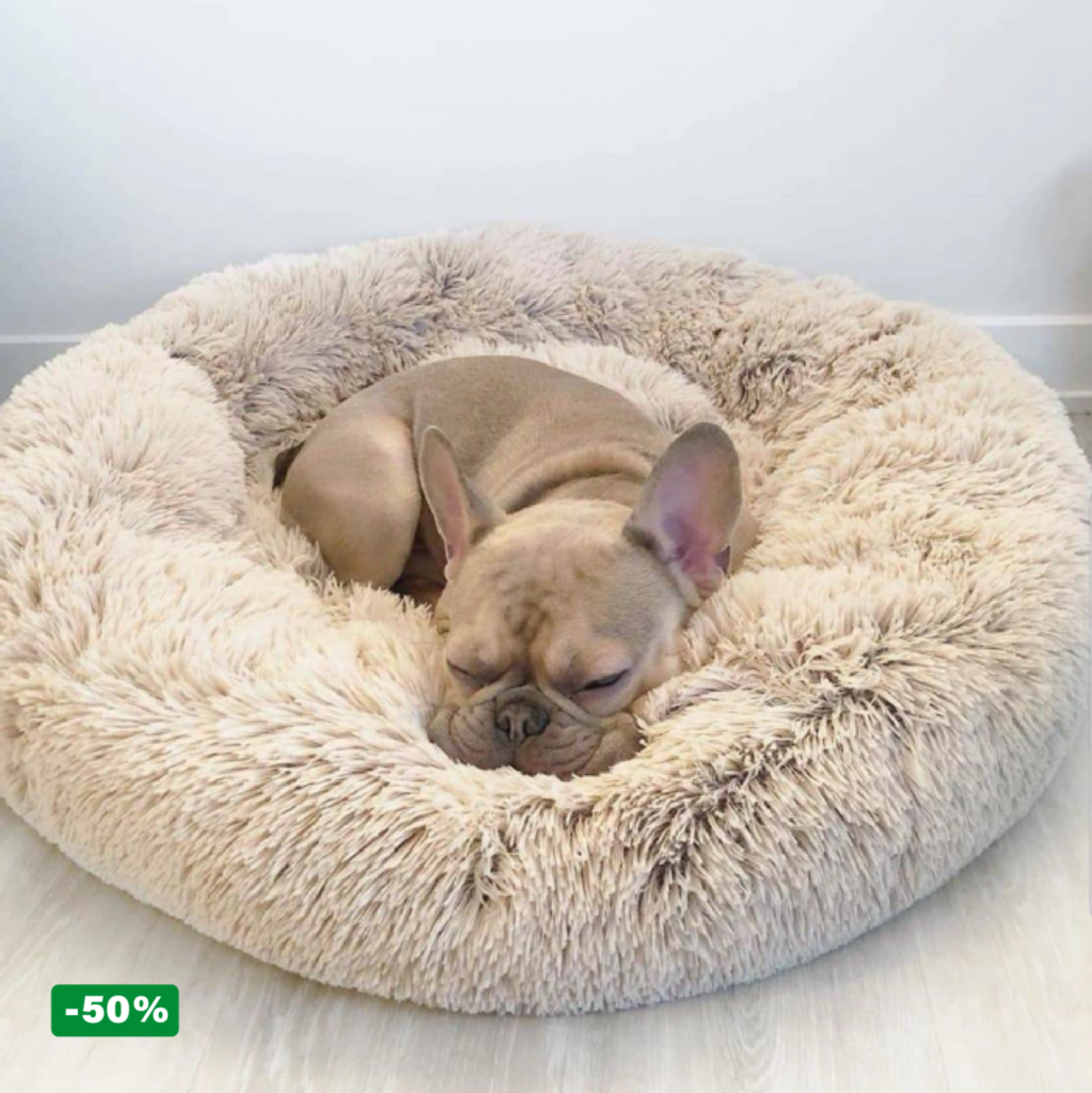 Pack Cama PetClub™️ + Funda GRATIS