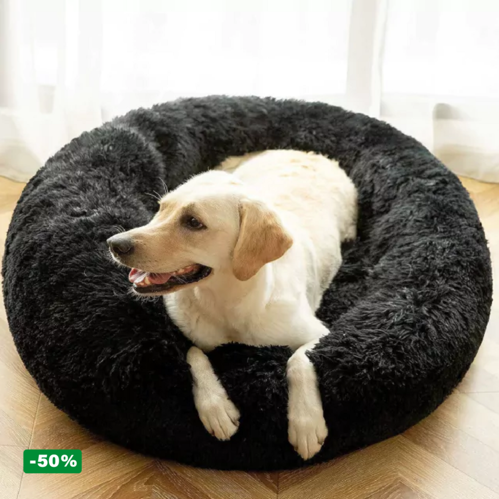 Pack Cama PetClub™️ + Funda GRATIS
