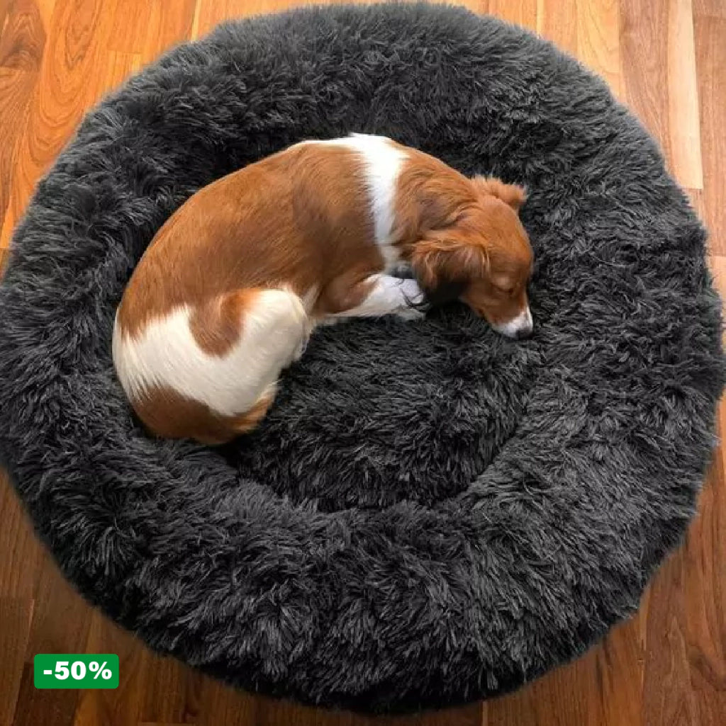 Cama PetClub™️ Super rellena