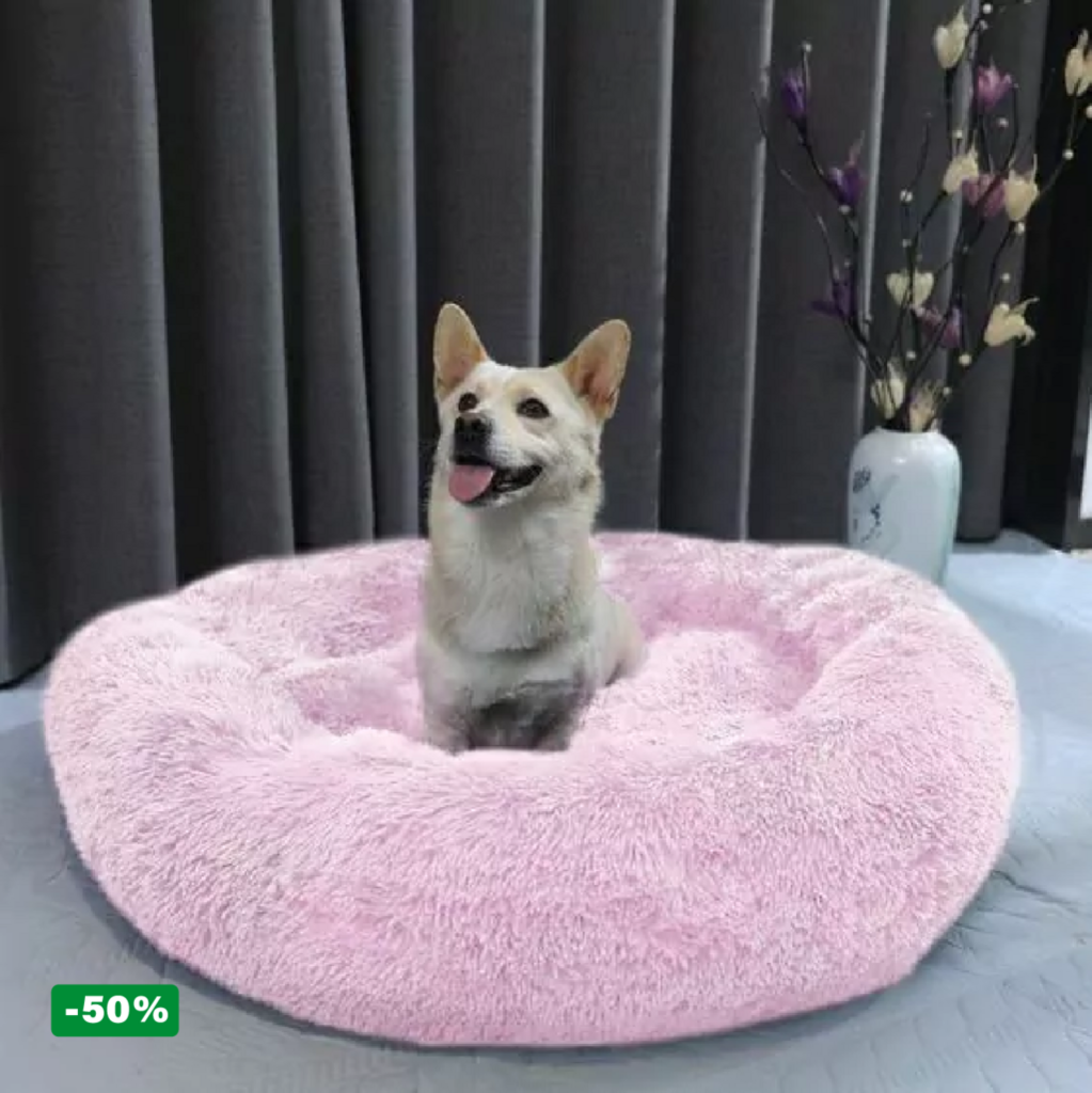 Pack Cama PetClub™️ + Funda GRATIS