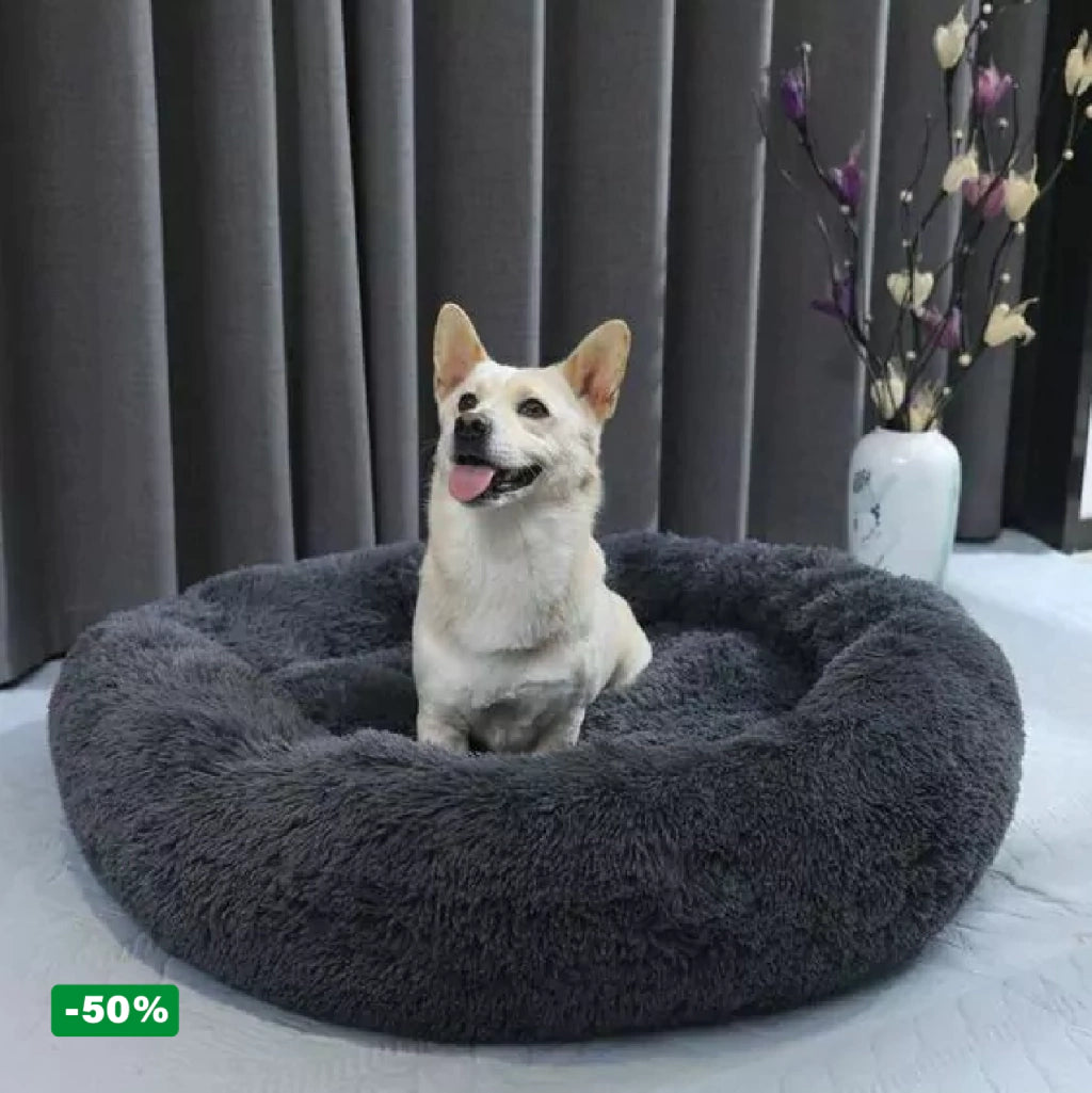 Cama PetClub™️ Super rellena
