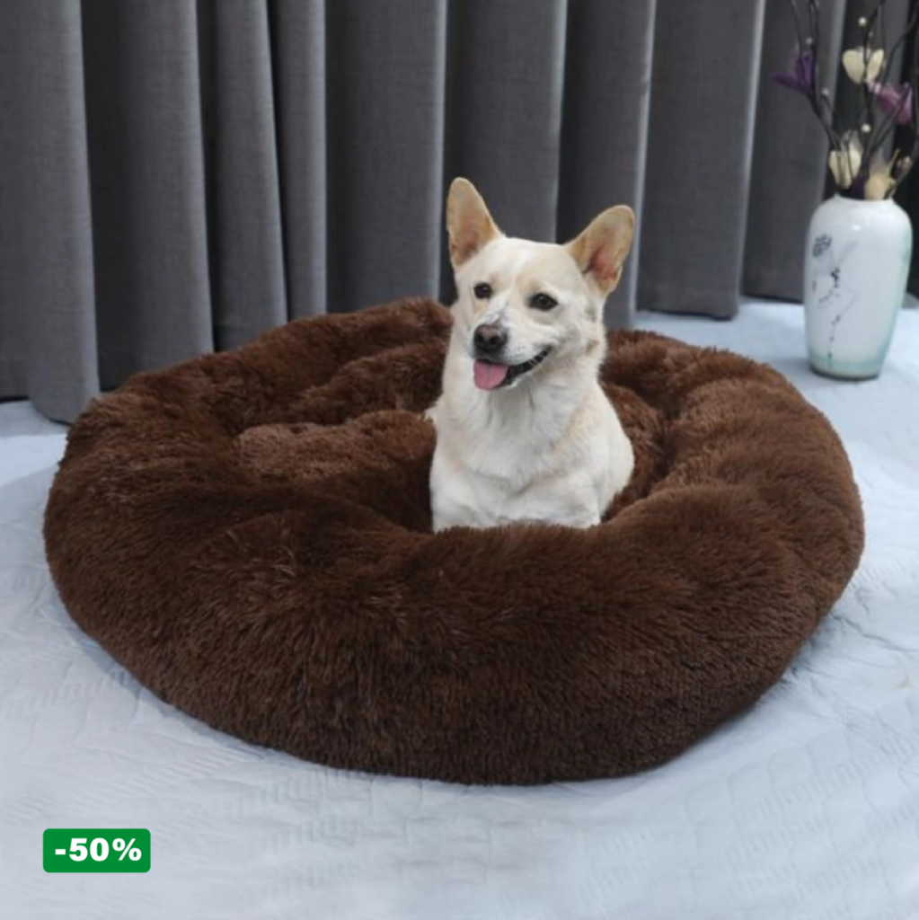 Pack Cama PetClub™️ + Funda GRATIS