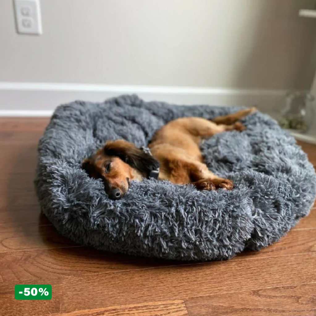 Pack Cama PetClub™️ + Funda GRATIS