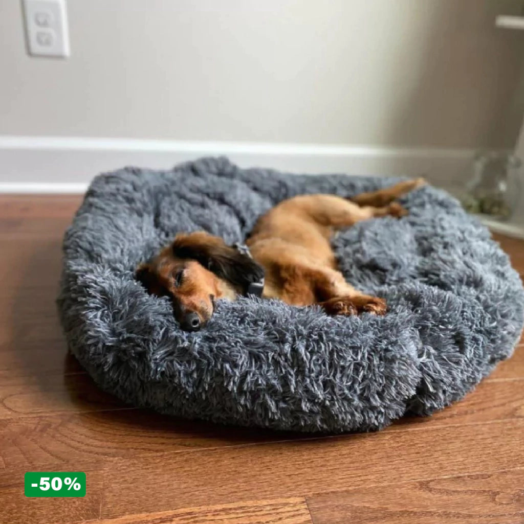Cama PetClub™️ Super rellena