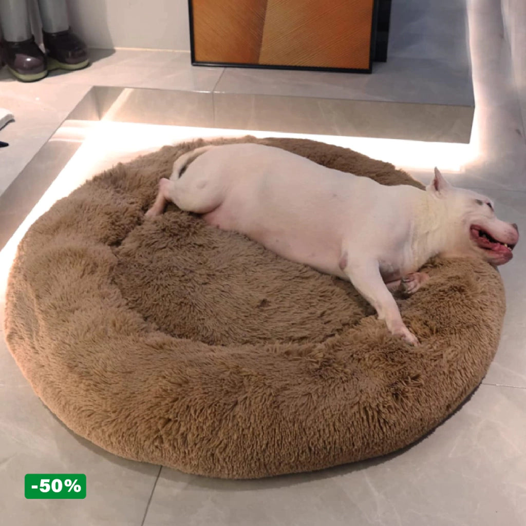 Cama PetClub™️ Super rellena