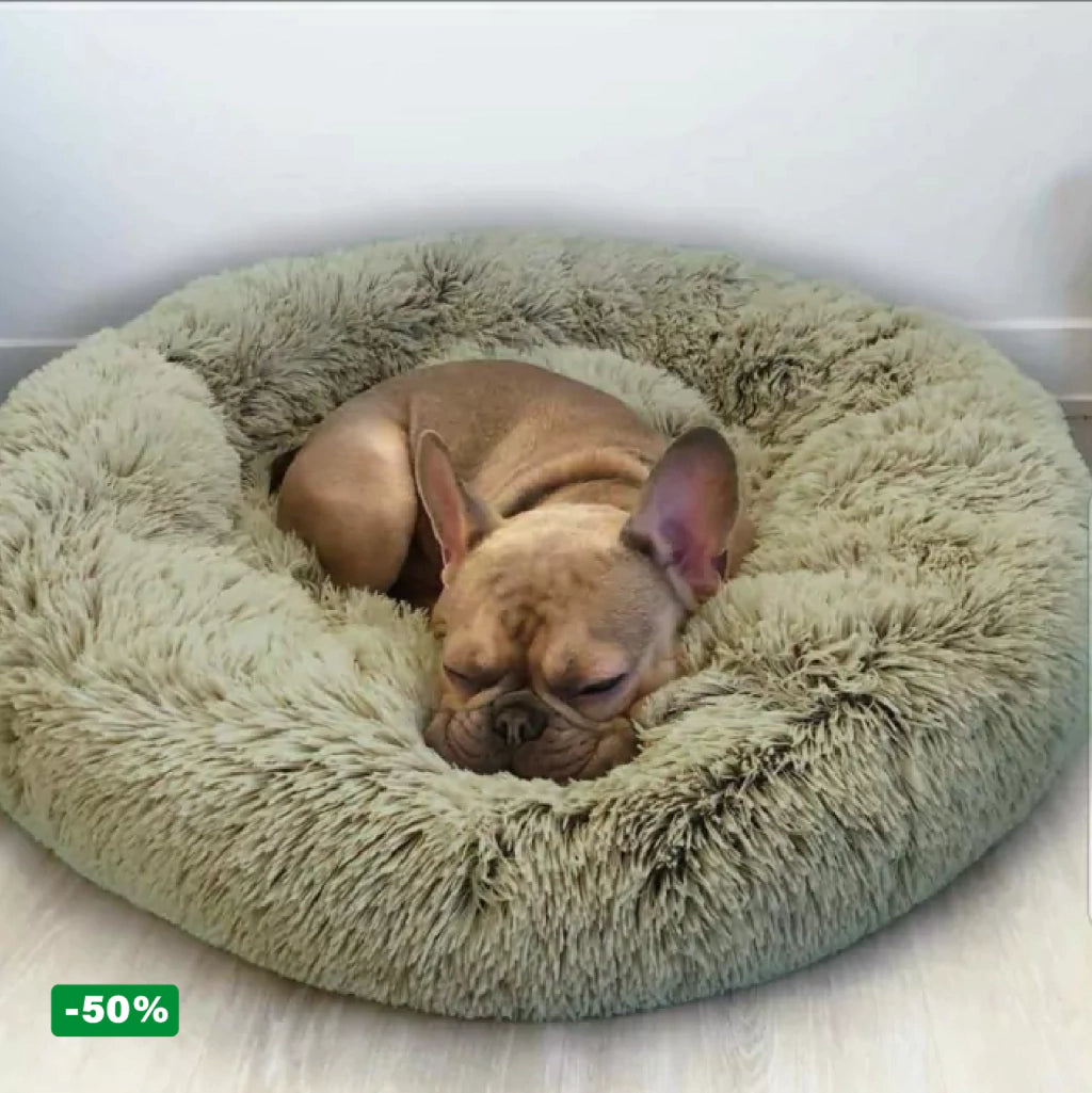 Cama PetClub™️ Super rellena