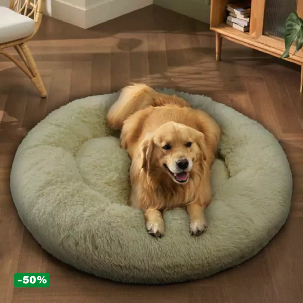 Cama PetClub™️ Super rellena
