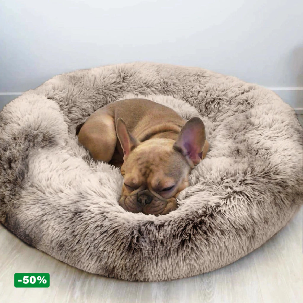 Cama PetClub™️ Super rellena