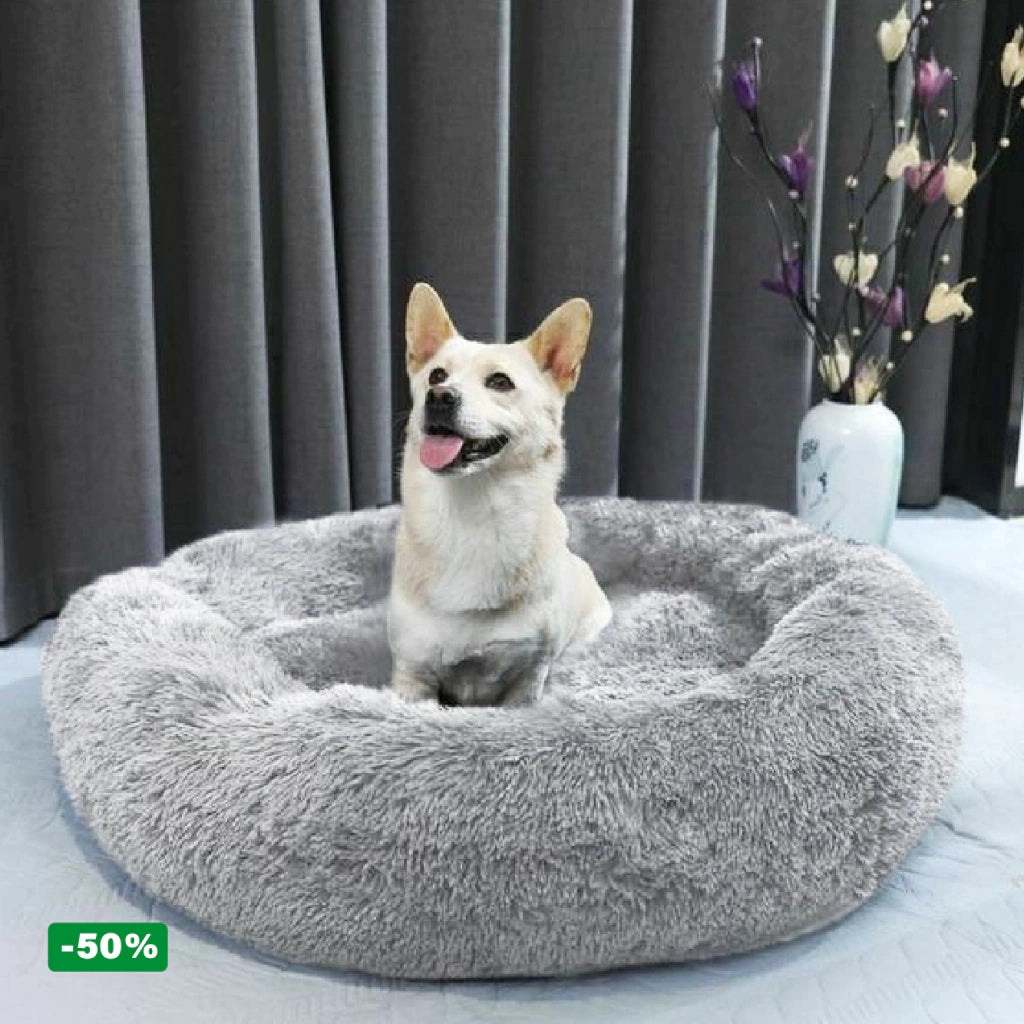 Cama PetClub™️ Super rellena
