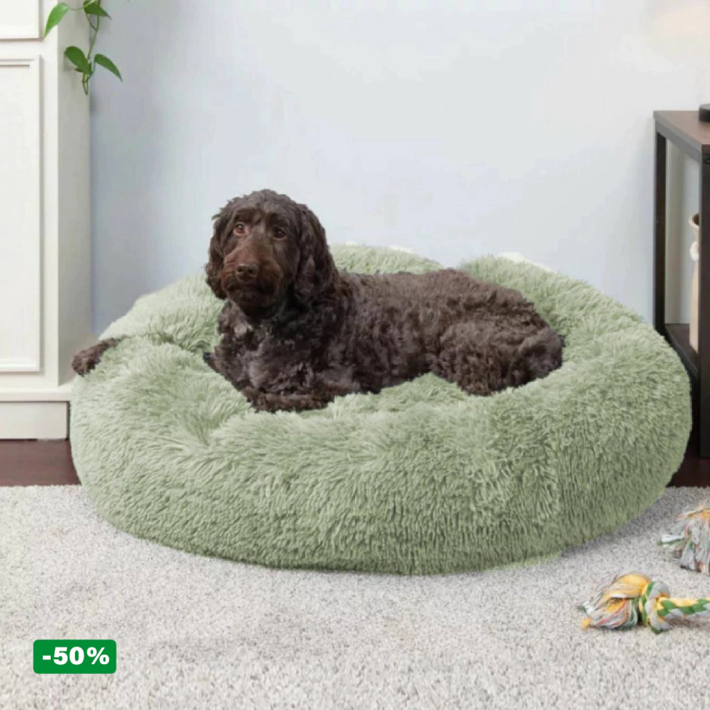 Cama PetClub™️ Super rellena