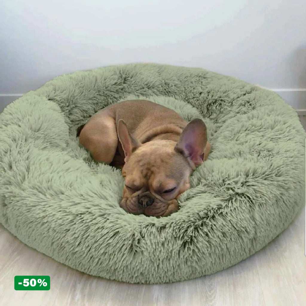 Cama PetClub™️ Super rellena