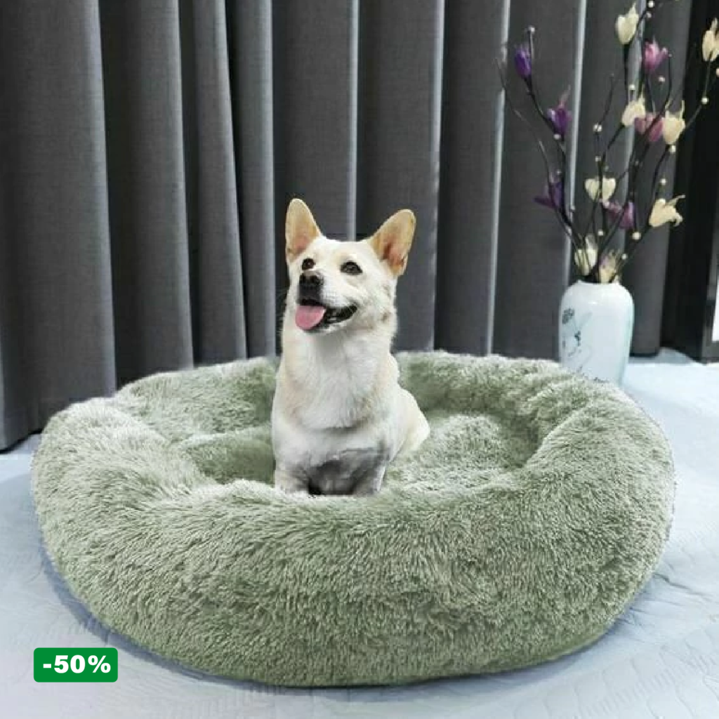 Pack Cama PetClub™️ + Funda GRATIS