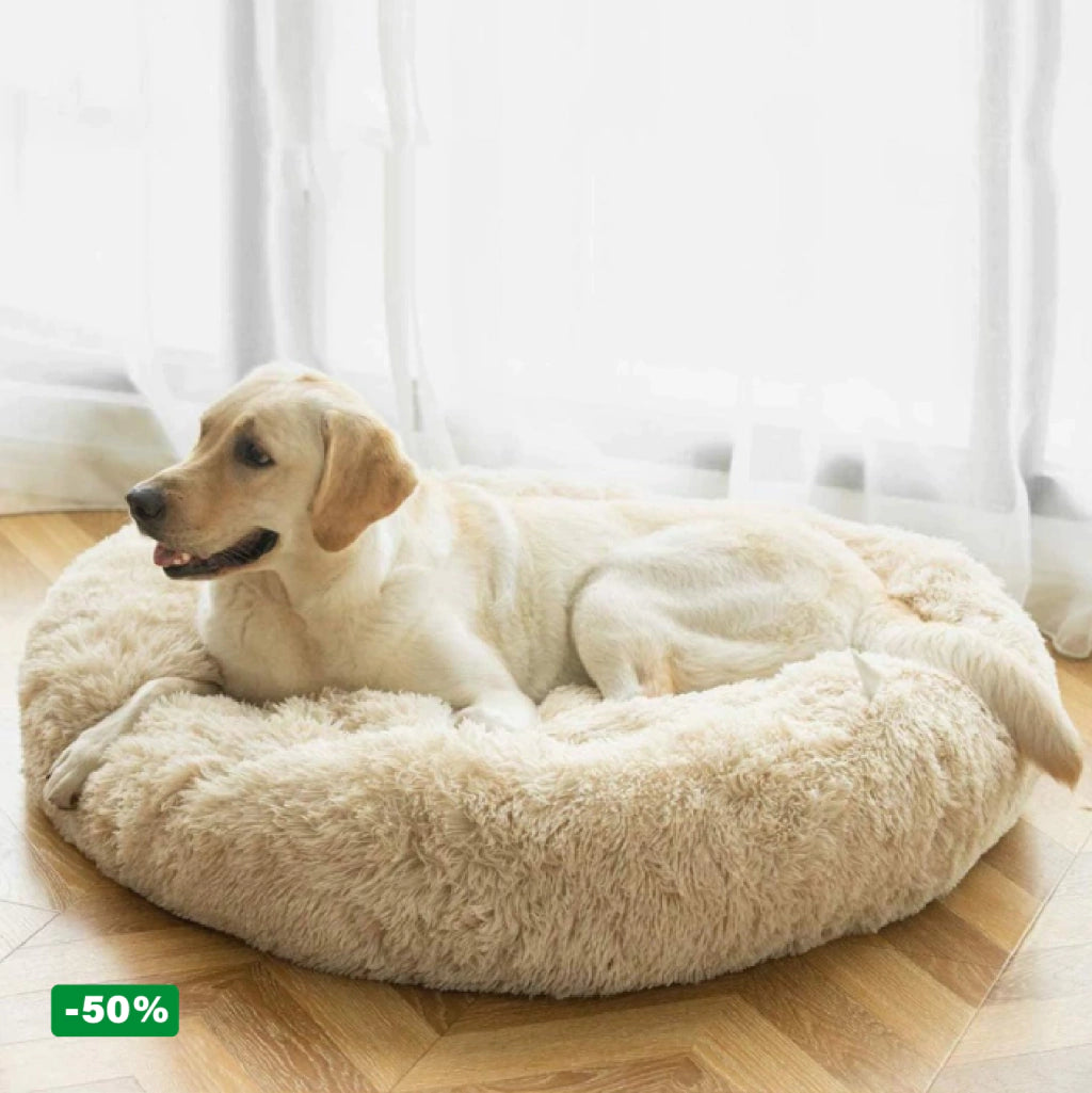 Cama PetClub™️ Super rellena