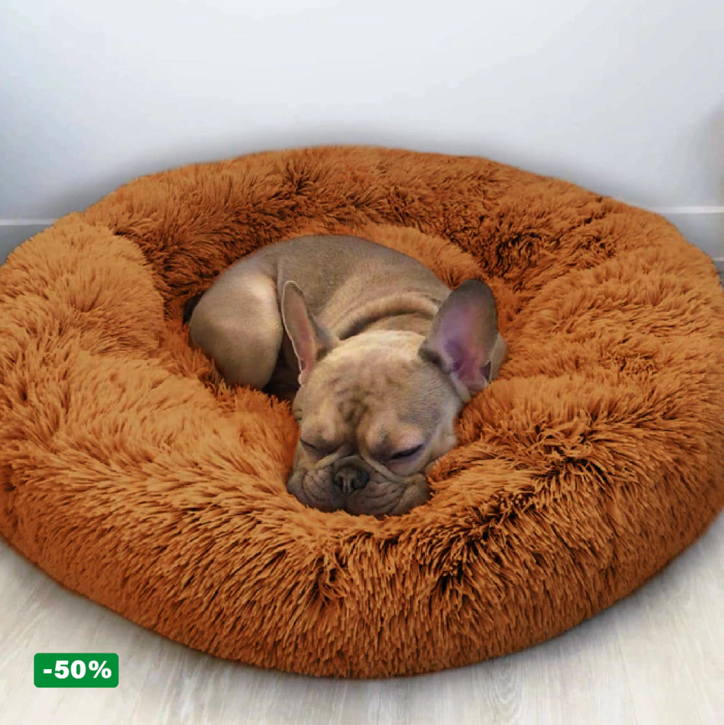 Cama PetClub™️ Super rellena