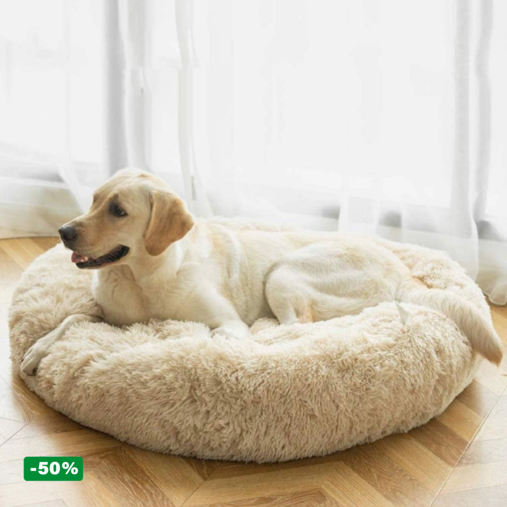 Pack Cama PetClub™️ + Funda GRATIS