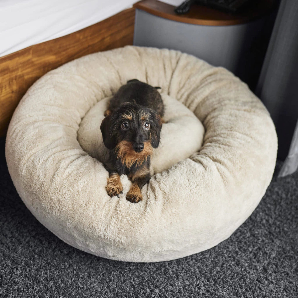Cama PetClub™️ Soft Version Desmontable