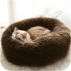 Pack Cama PetClub™️ + Funda GRATIS