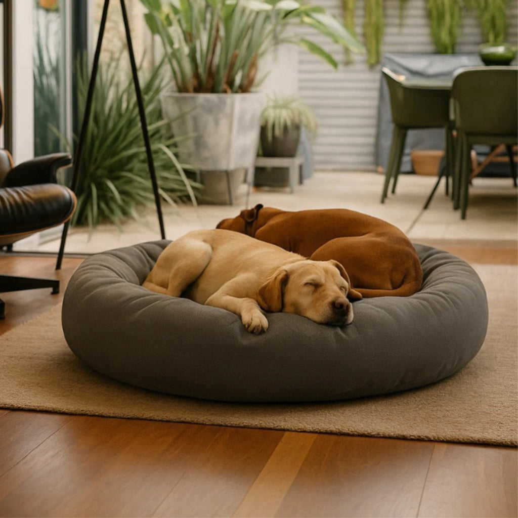 Cama PetClub™️ Super rellena