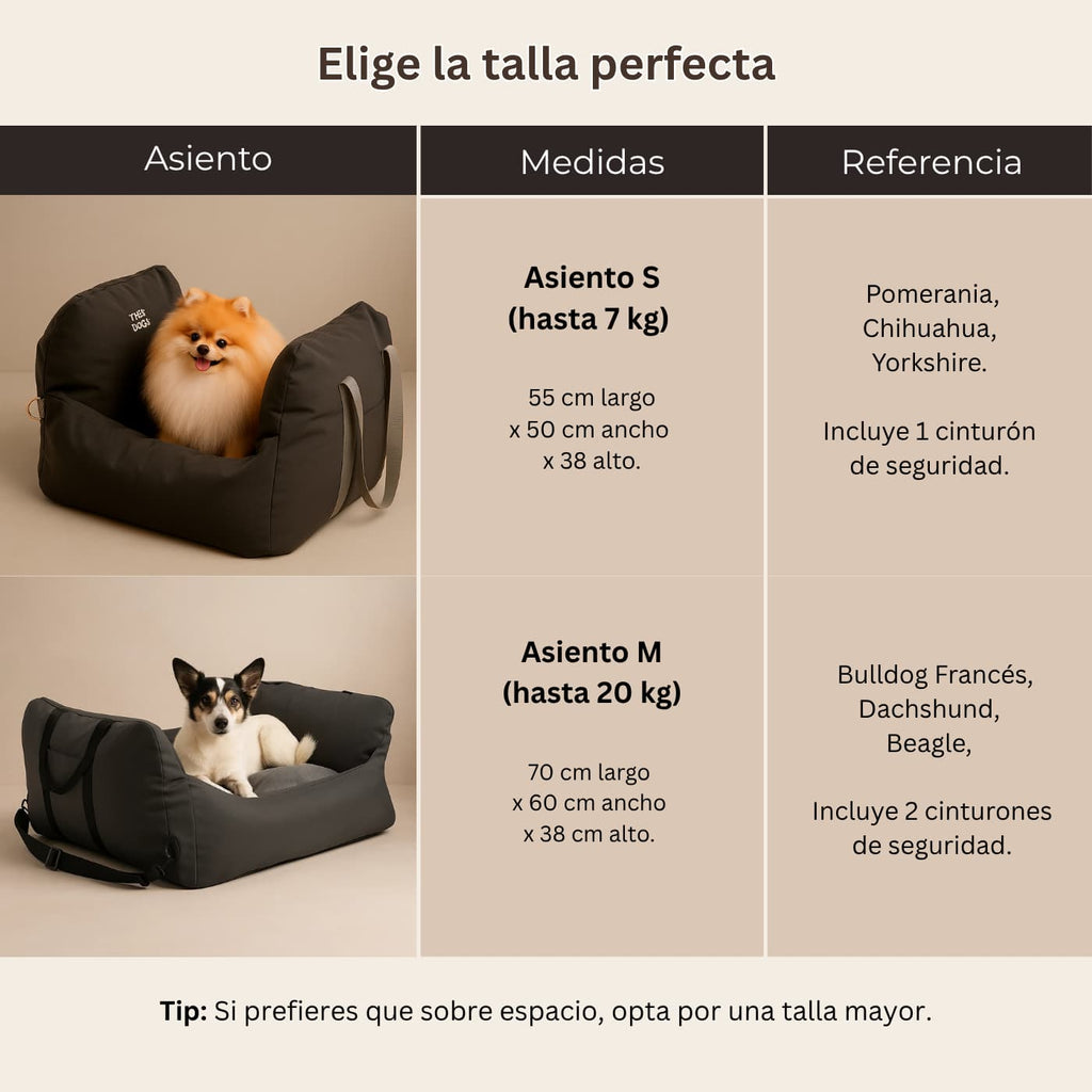 Asiento Primera Clase  — Viajes seguros y cómodos