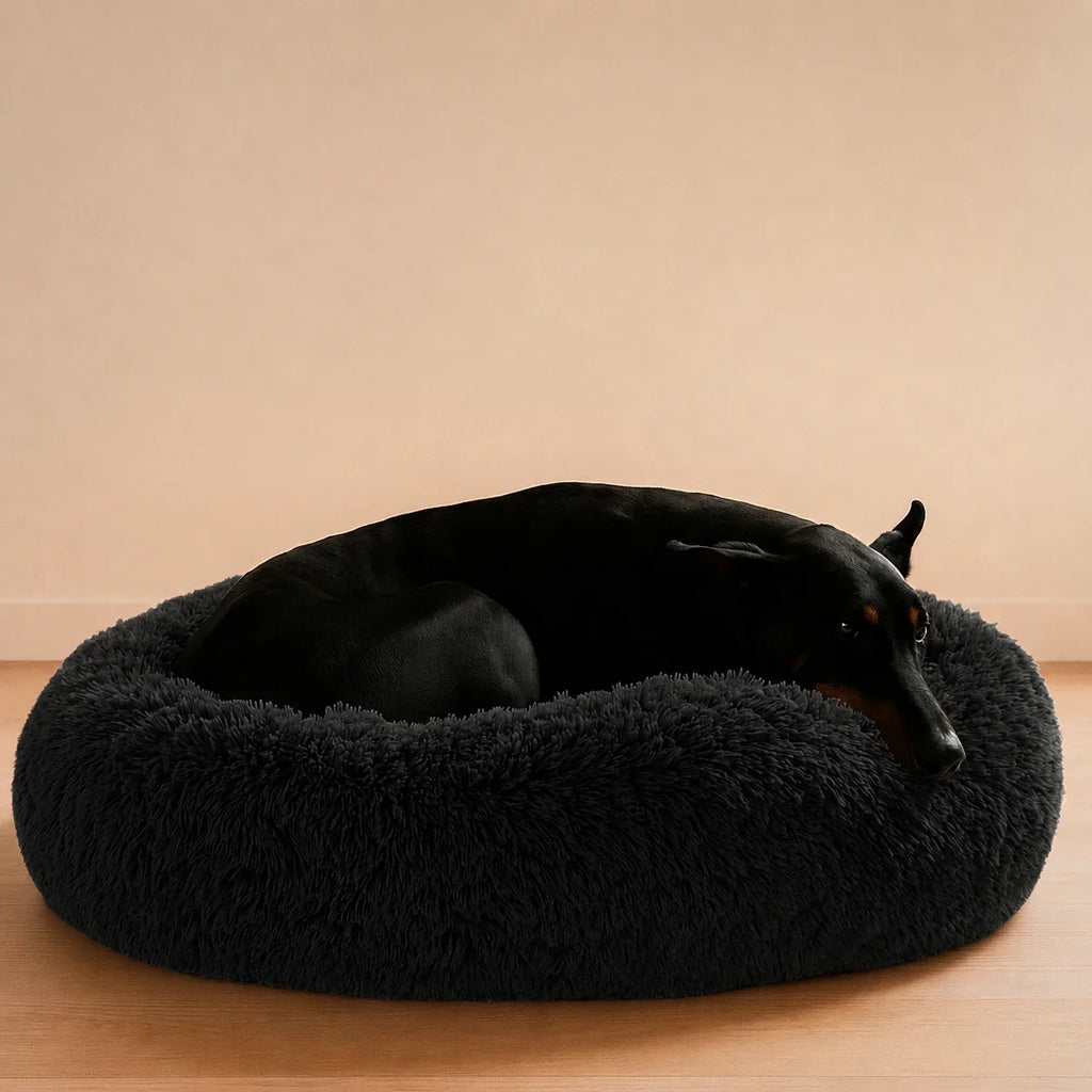 Cama Anti-Estrés  — Menos ansiedad, más descanso