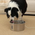 Aquaflow THE DOGS — Agua siempre limpia y fresca