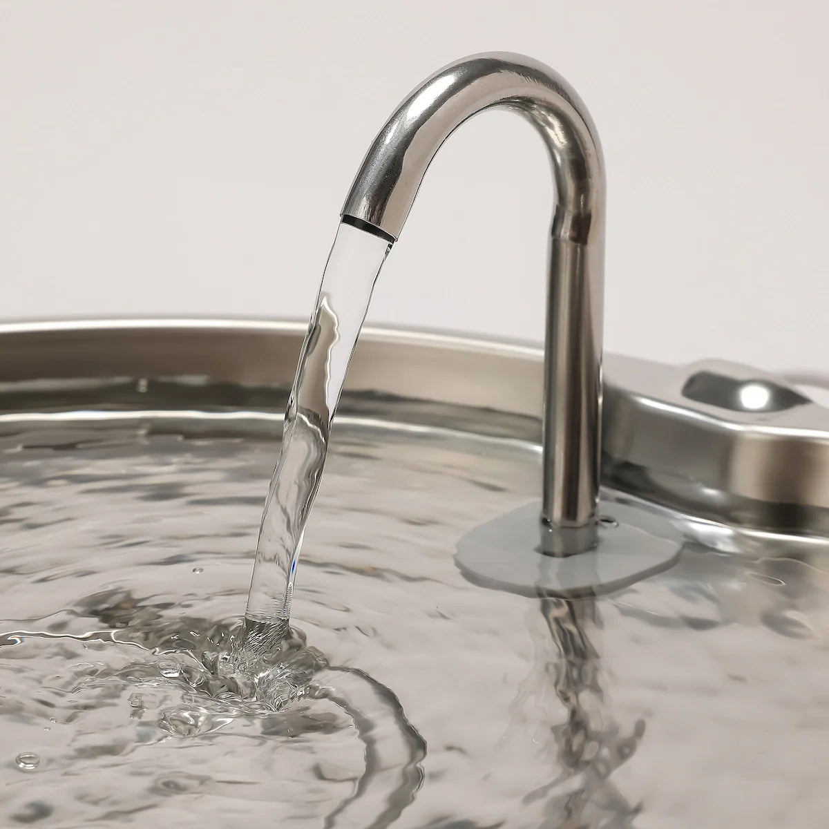 Aquaflow THE DOGS — Agua siempre limpia y fresca