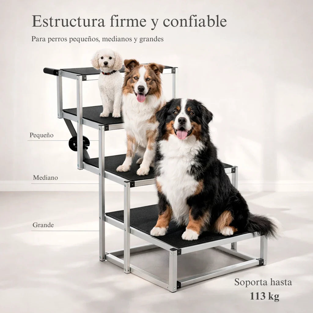 Escalera/Rampa Plegable para Auto