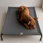 Cama Elevada
