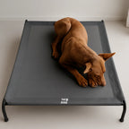 Cama Elevada