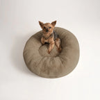 Cama PetClub™️ Soft Version Desmontable