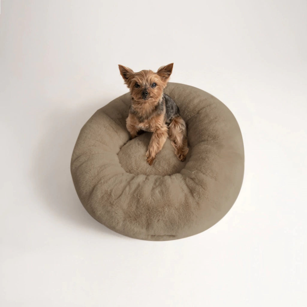 Cama PetClub™️ Soft Version Desmontable