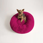 Cama PetClub™️ Soft Version Desmontable