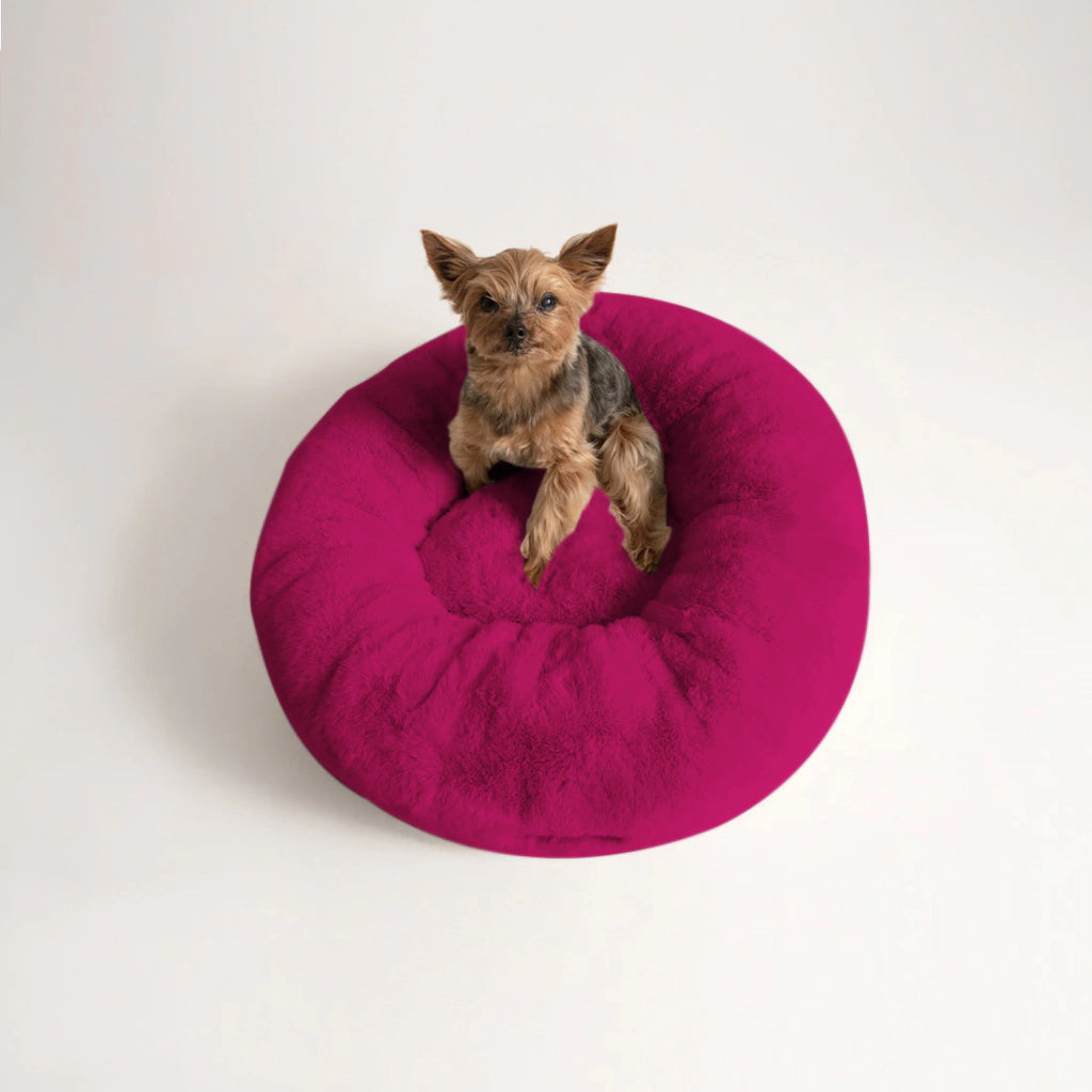 Cama PetClub™️ Soft Version Desmontable