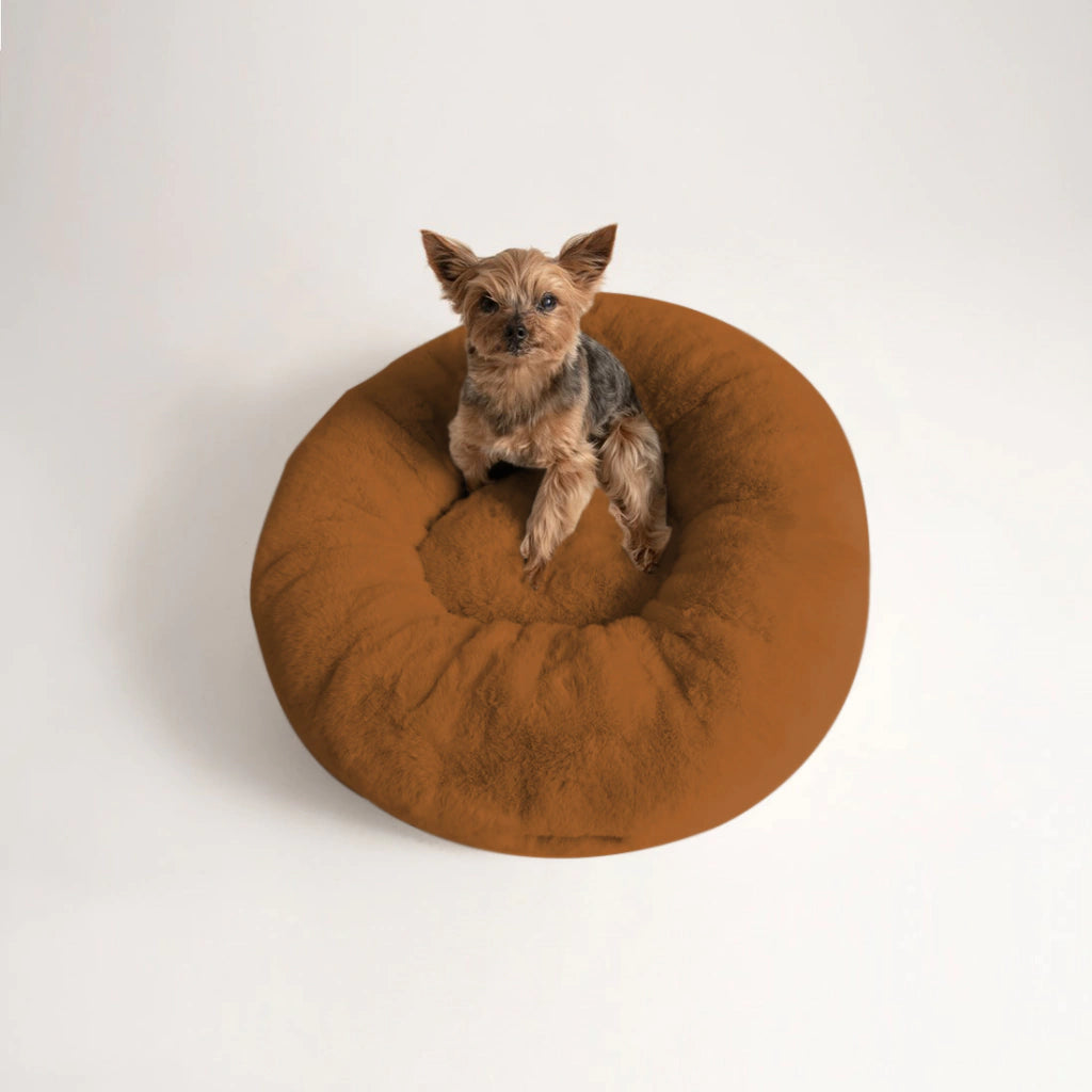 Cama PetClub™️ Soft Version Desmontable