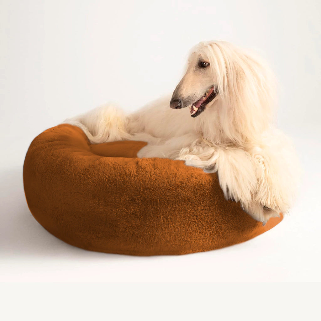 Cama PetClub™️ Soft Version Desmontable