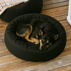 Cama PetClub™️ Super rellena
