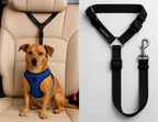 Kit auto limpio y perro seguro