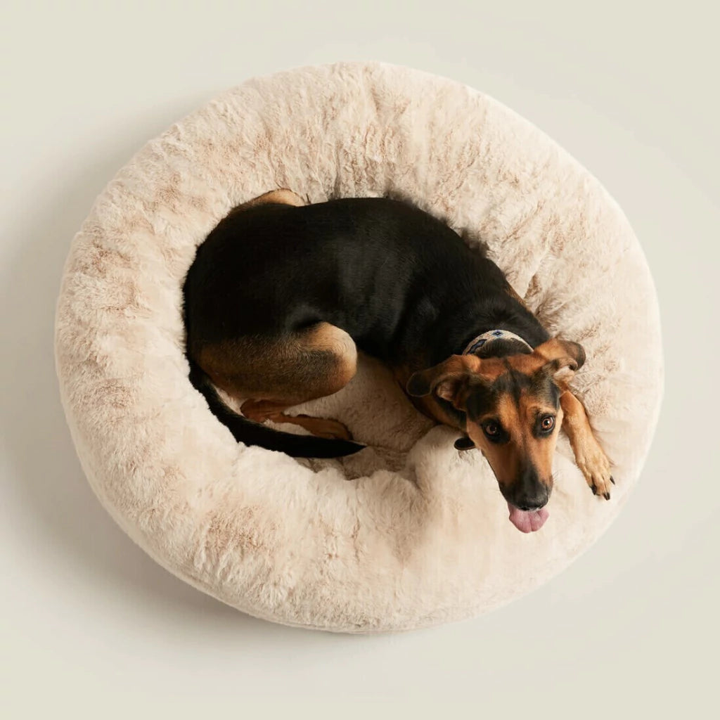 Cama PetClub™️ Soft Version Desmontable